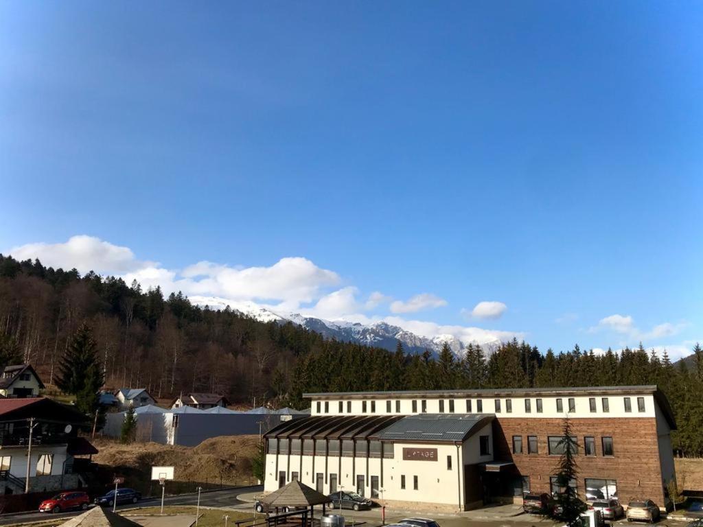 Snowdrop Apartment Синая Экстерьер фото
